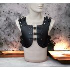BDSM fetish leather vest
