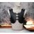 BDSM fetish leather vest