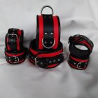 BDSM Leder Aktionssets