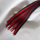  Rote und schwarze Lederpeitsche