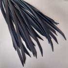 BDSM Lederpeitsche mit bemaltem Griff