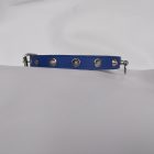 Fetish blue leather neck collar