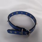 Fetish blue leather neck collar