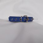 Fetish blue leather neck collar