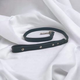 Schwarze Leder-Leine