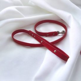 Red leather leash