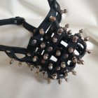 Leder-Hundemaulkorb mit Verzierungen (Schwarz)