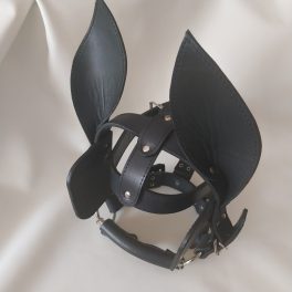 Pet-play