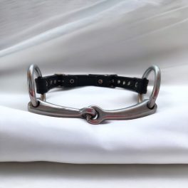 Bdsm gags